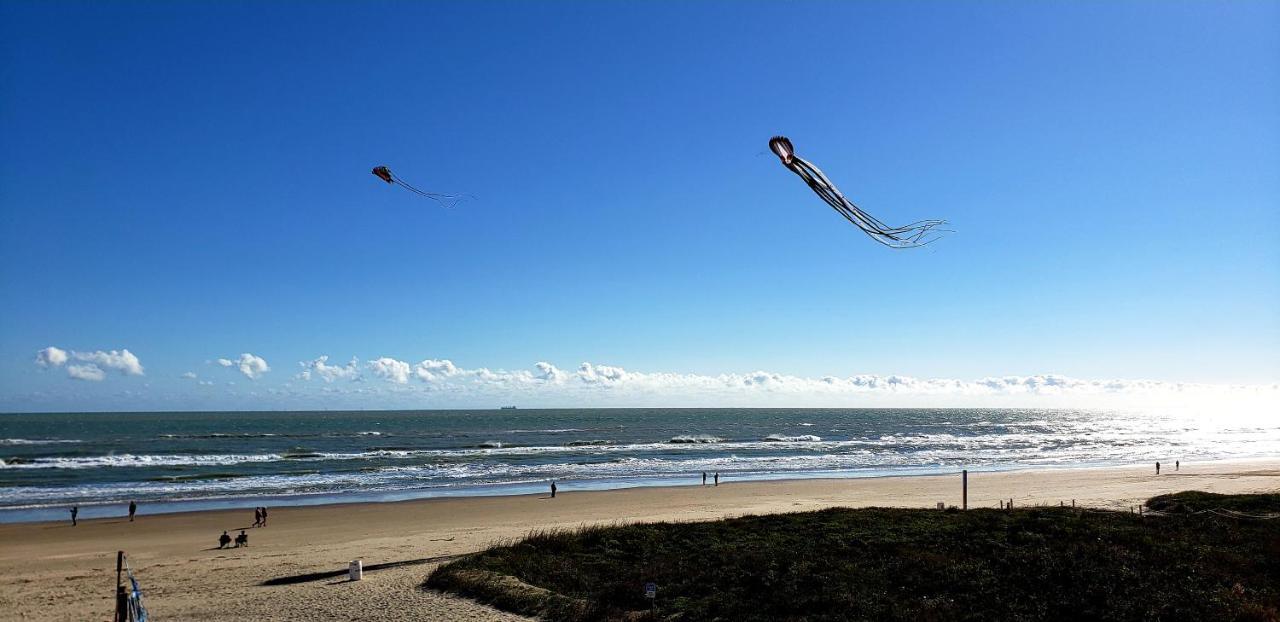 Apartament Beachfront Sanctuary South Padre Island Zewnętrze zdjęcie